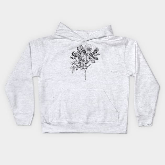 Wild Rose Flower Kids Hoodie by Biophilia